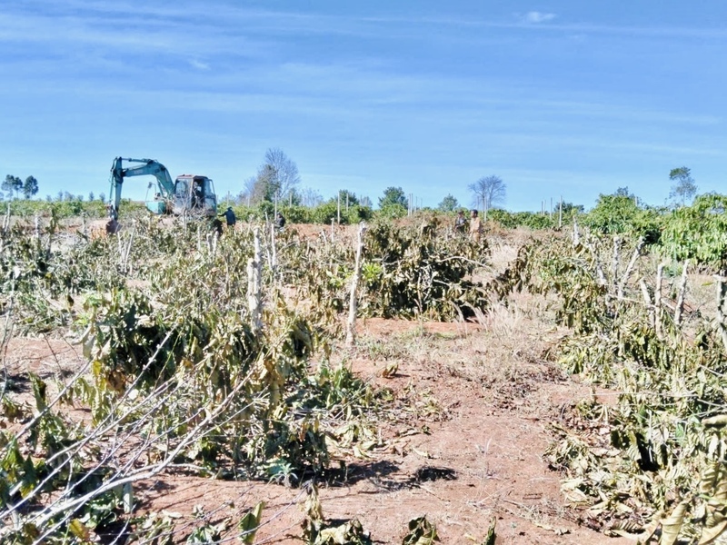 Mặt bằng đã được bàn giao đạt 9,52/34,85 km.