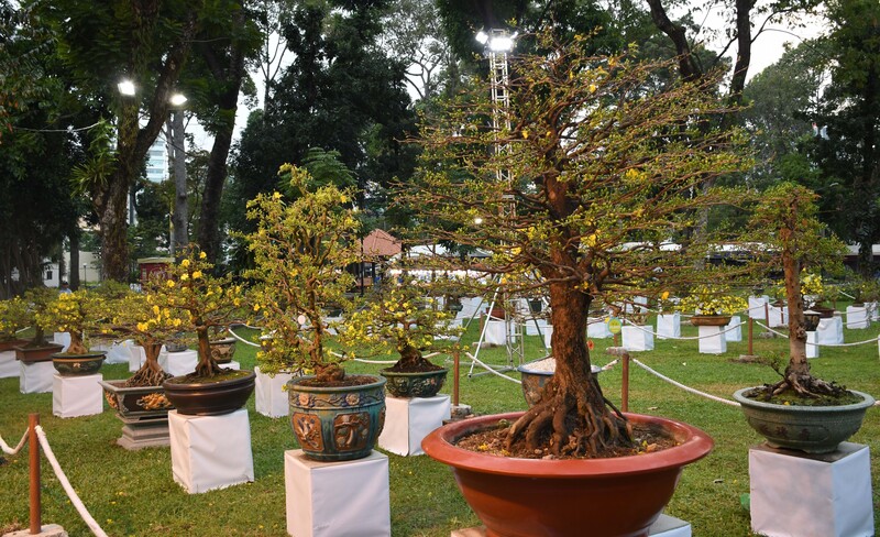 Hội hoa xuân TP. Hồ Chí Minh 2026: Xuân hội tụ, vững bước vươn mình - 11