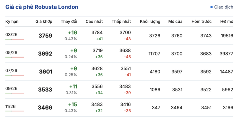Giá cà phê hôm nay 12/2/2026: Đảo chiều giảm mạnh 1.000 - 1.200 đồng - 1