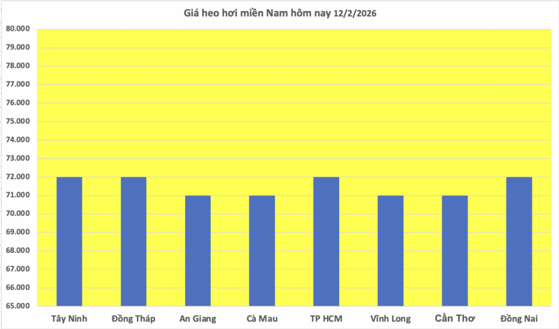 Giá heo hơi hôm nay 12/2/2026: Tiếp đà giảm đồng loạt trên toàn quốc - 3
