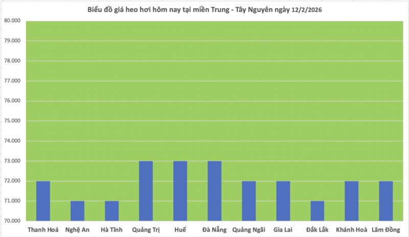 Giá heo hơi hôm nay 12/2/2026: Tiếp đà giảm đồng loạt trên toàn quốc - 2