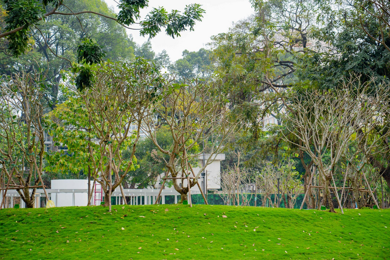 Công viên tạo ra nhiều khoảng xanh dành tặng người dân TP. Hồ Chí Minh