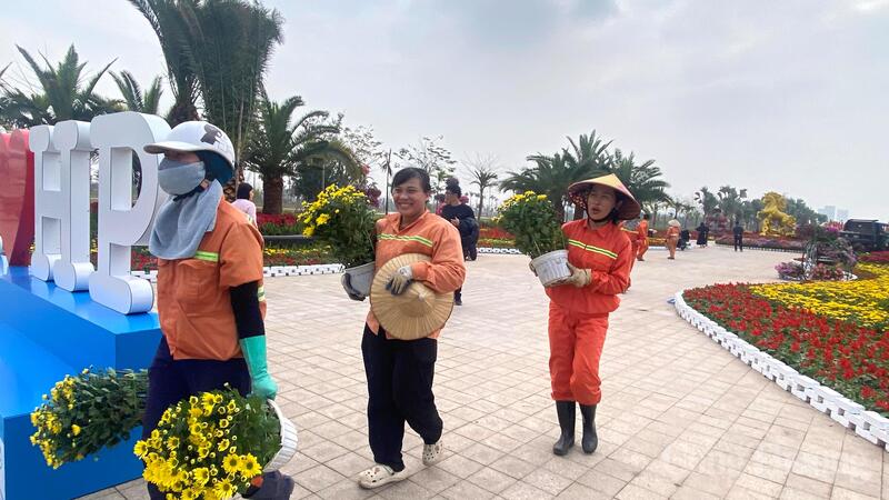 Hải Phòng rực rỡ sắc xuân chào đón tết Nguyên đán 2026 - 7