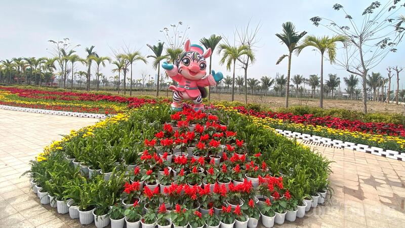 Hải Phòng rực rỡ sắc xuân chào đón tết Nguyên đán 2026 - 3