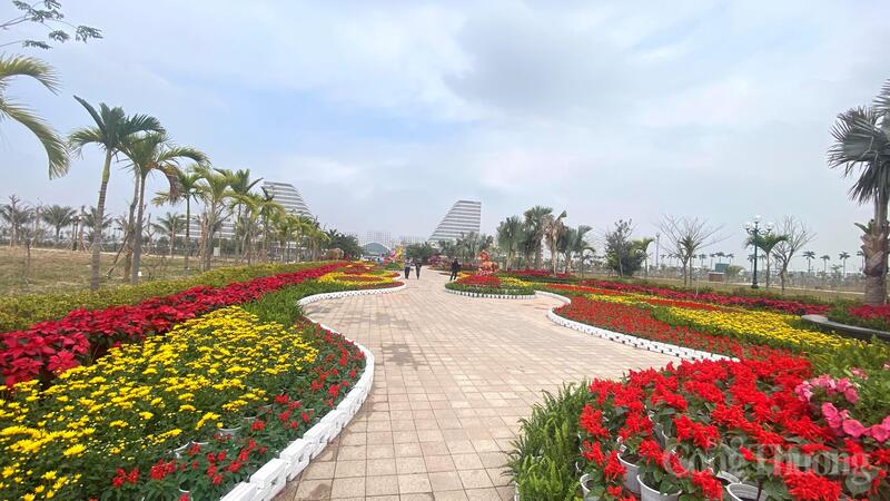 Hải Phòng rực rỡ sắc xuân chào đón tết Nguyên đán 2026 - 4