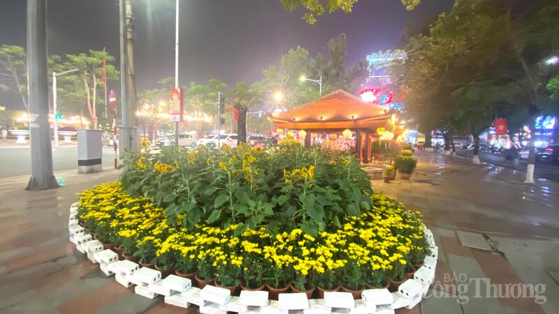 Sắc hoa xuân rực rỡ giữa trung tâm TP. Hải Phòng.