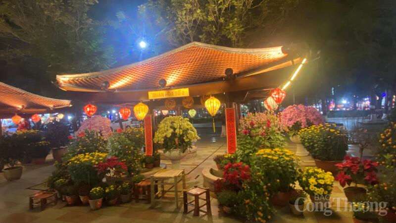 Hải Phòng rực rỡ sắc xuân chào đón tết Nguyên đán 2026 - 11