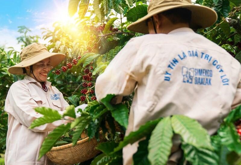 Simexco là một trong những doanh nghiệp uy tín hàng đầu ngành cà phê (Ảnh: Doanh nghiệp cung cấp)