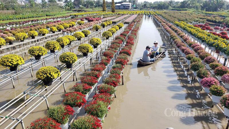 Việc đưa xuồng ba lá vào phục vụ tham quan giúp du khách có góc nhìn mới lạ và trải nghiệm gần gũi hơn với đời sống của người dân làng hoa.