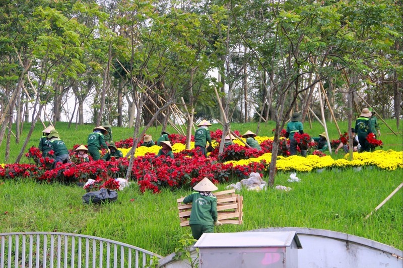 Khu vực núi Chung phía sau tượng đài Bác Hồ được trang trí nhiều loại hoa đầy màu sắc. Ảnh: Mai Liễu