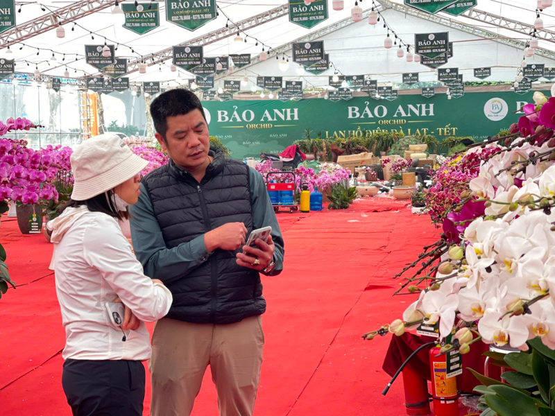 Người tiêu dùng chọn lựa những giỏ hoa lan phù hợp, chuẩn bị trưng Tết. Ảnh: Nhật Chi