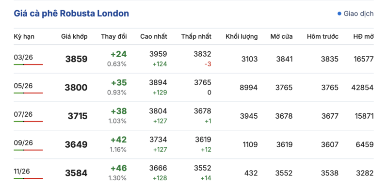 Giá cà phê hôm nay 14/2/2026: Tăng nhẹ 200 đồng/kg - 1