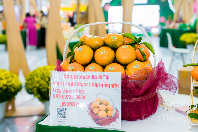 Đặc sản Hà Tĩnh gây ấn tượng với chất lượng tốt và mẫu mã, trình bày đẹp mắt. Ảnh: Ban tổ chức