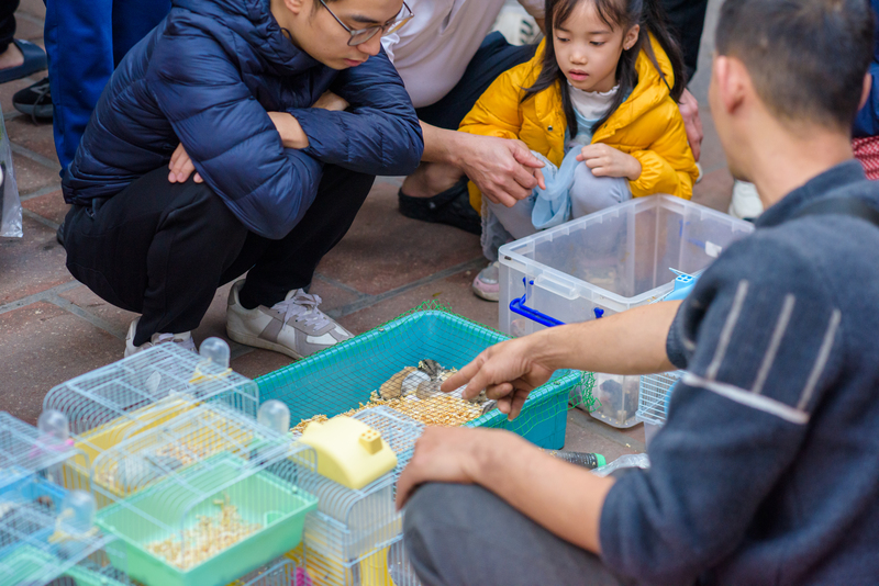 Xuân về qua phiên chợ hơn một thế kỷ tại Hà Nội - 5