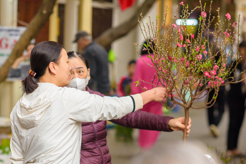 Người dân thích thú khi lựa chọn được cành đào ưng ý. Ảnh: Phong Nguyễn