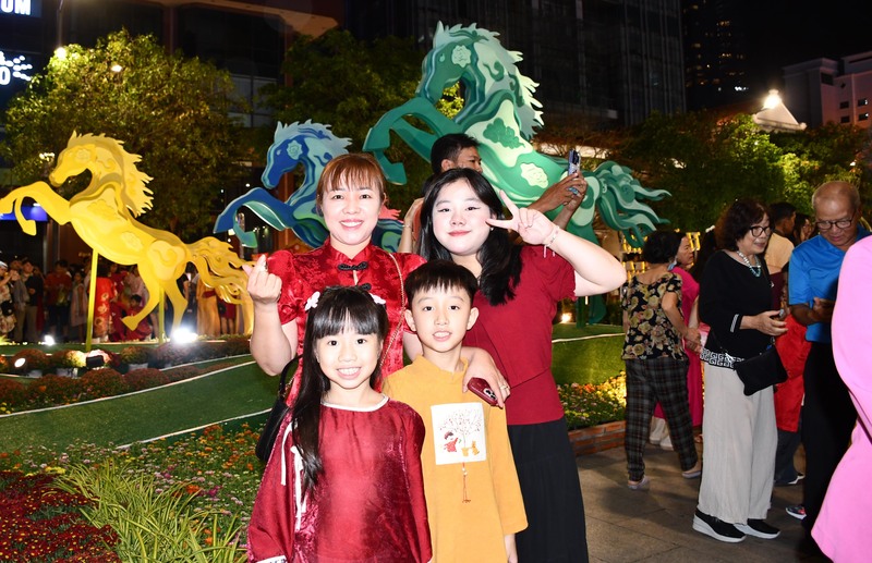 Chiêm ngưỡng đường hoa Nguyễn Huệ tết Bính Ngọ về đêm - 11