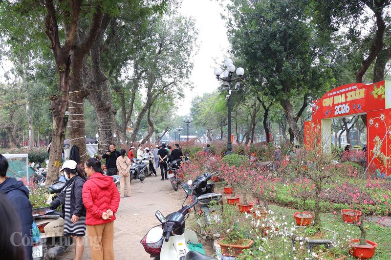 Chợ hoa xuân trở thành điểm đến quen thuộc những ngày cận Tết. Ảnh: Thanh Tuấn