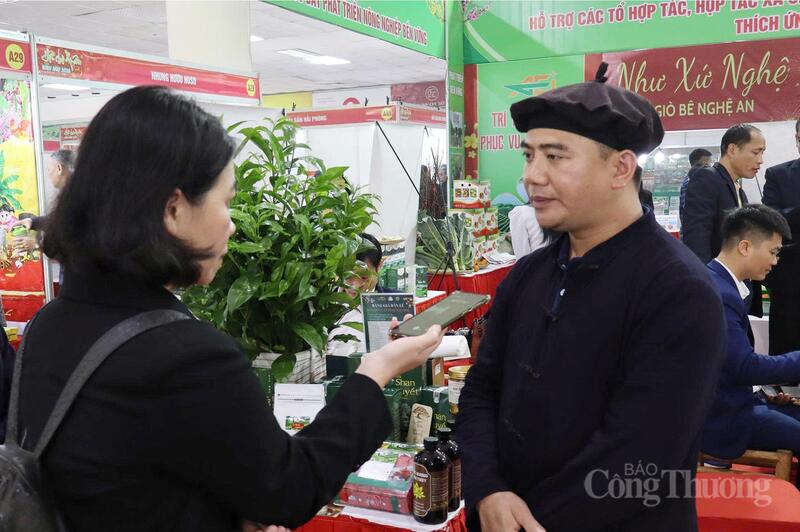 Nhân dịp Tết đến, xuân về, phóng viên Báo Công Thương đã trao đổi với ông Ma Văn Thống, Giám đốc Hợp tác xã Nông nghiệp Bản Mộc về hành trình gìn giữ tinh hoa đất trời trong từng búp trà Shan Tuyết. Ảnh: Kiều Tâm