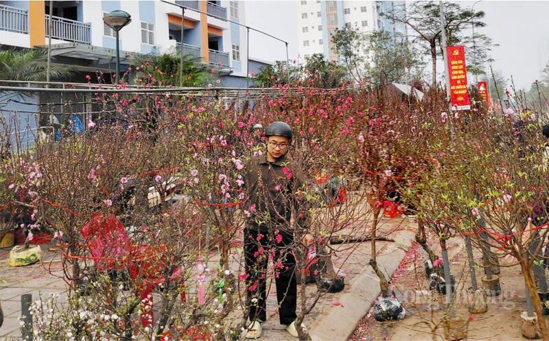 Người tiêu dùng Thủ đô mua sắm Tết. Ảnh: N.H