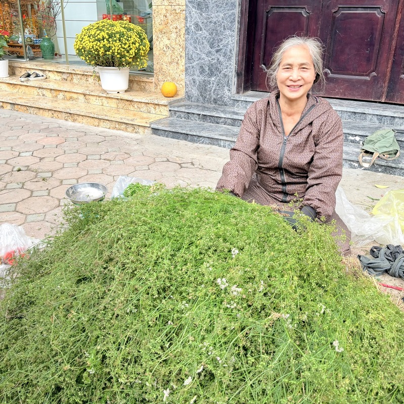 Nụ cười rạng rỡ của cô Nguyễn Thị Lan, người phụ nữ bán mùi già trên vỉa hè giữa tiết trời cuối năm ở Hà Nội. Ảnh: Nguyễn Hương