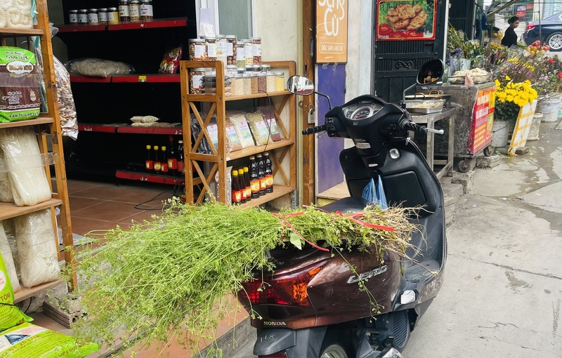 Những bó mùi già xanh sẫm được cẩn thận xếp gọn phía sau xe máy trước giờ tan chợ. Ảnh: Nguyễn Hương