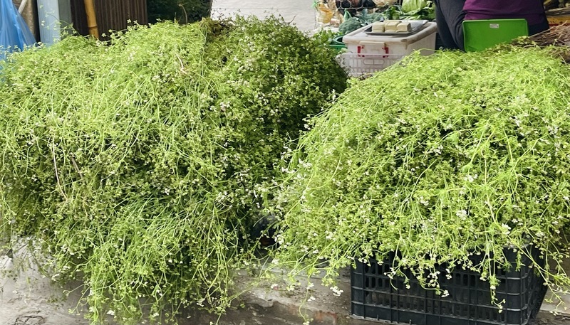 Từ 27 tháng Chạp, mùi già được bày bán dọc nhiều tuyến phố ở Hà Nội, giá dao động từ 10.000 – 30.000 đồng/bó. Ảnh: Nguyễn Hương