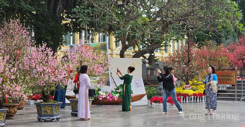 Khuôn viên Tượng đài Vua Lý Thái Tổ bên thắng cảnh hồ Gươm trở thành không gian trưng bày đào cảnh của người Hà Thành xưa thu hút người dân và du khách.