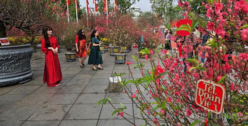 Sắc đào bích đỏ rợp tại khuôn viên Tượng đài Vua Lý Thái Tổ mang theo hy vọng về một năm mới đủ đầy, bình an.