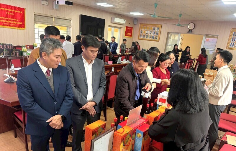 Tăng cường hỗ trợ tiêu thụ sản phẩm công nghiệp nông thôn, sản phẩm OCOP và hàng hóa chủ lực của tỉnh. Ảnh: Mai Liễu