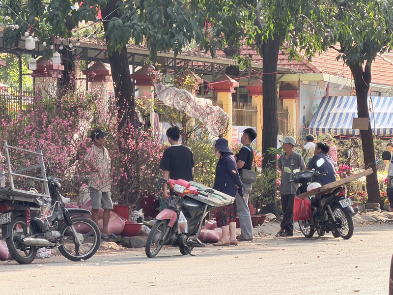 Người dân tập trung lựa chọn những cành đào ưng ý tại một điểm bán hoa dọc đường trong ngày cuối năm. Ảnh: Minh Anh.