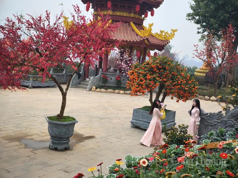 Sự kết hợp giữa kiến trúc, cảnh quan cây xanh và hệ thống tượng pháp tạo nên một tổng thể hài hòa thu hút người dân và du khách.