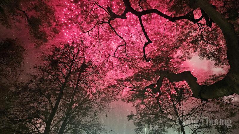 Cả không gian trung tâm Thủ đô như bừng sáng, khi pháo hoa đồng loạt thắp lên khí thế mới, niềm tin mới trong đêm giao thừa.