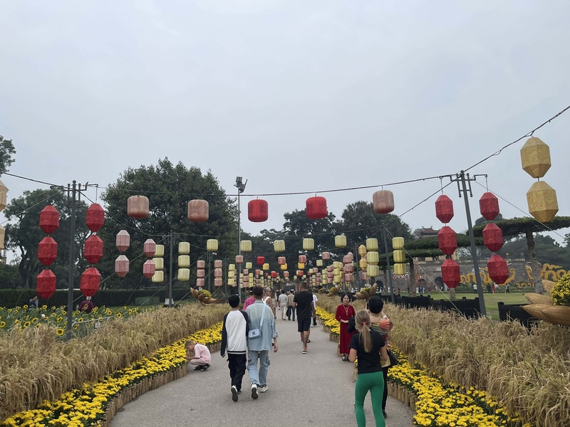 Hàng lúa trổ bông tạo nên điểm nhấn mùa xuân giữa không gian thành cổ. Ảnh: Tường Vy