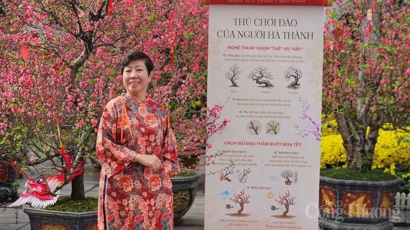 Không gian trưng bày đào cảnh của người Hà Thành xưa tại khuôn viên tượng đài Vua Lý Thái Tổ.