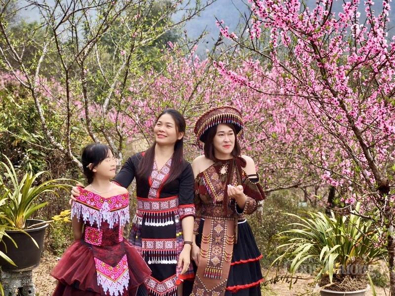 Bản Sin Suối Hồ như được khoác lên mình tấm áo mới, rực rỡ mà thanh khiết trong những ngày đầu xuân.