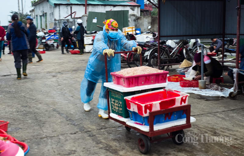 Những nữ phu cá tại Cửa Sót làm việc xuyên lễ Tết để đáp ứng nhu cầu của thị trường. Ảnh: Trọng Tùng