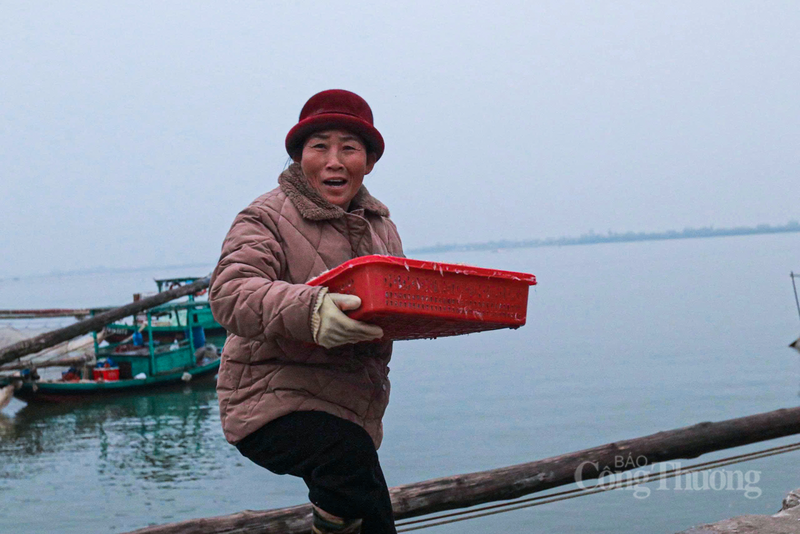 Để kiếm được hơn 100 nghìn đồng mỗi ngày, một người phụ nữ phải bưng bê hàng trăm lượt khay cá, di chuyển hàng cây số trên cầu cảng trơn trượt. Ảnh: Trọng Tùng