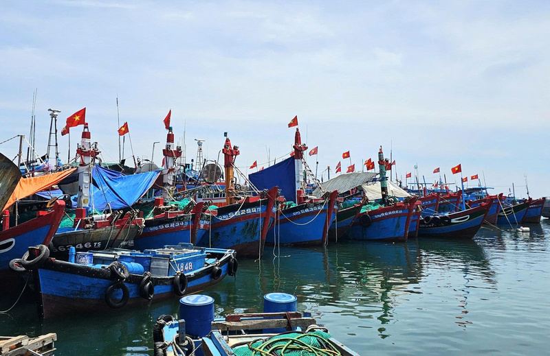 Quảng Ngãi đã triển khai truy xuất nguồn gốc điện tử cho hơn 3.000 tàu cá, quyết tâm cùng cả nước gỡ thẻ vàng IUU. Ảnh: Nguyễn Dương