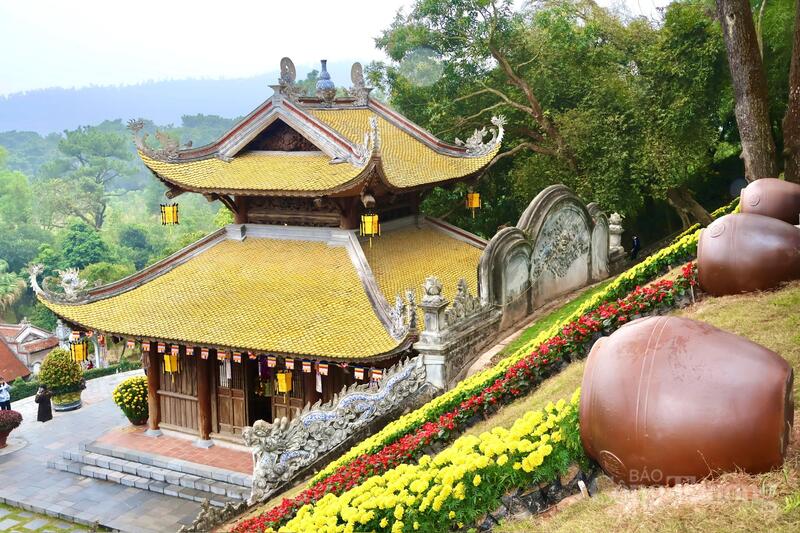 Những thảm hoa cúc, hoa vạn thọ khoe sắc rực rỡ dưới nắng xuân, tạo điểm nhấn cảnh quan hấp dẫn.