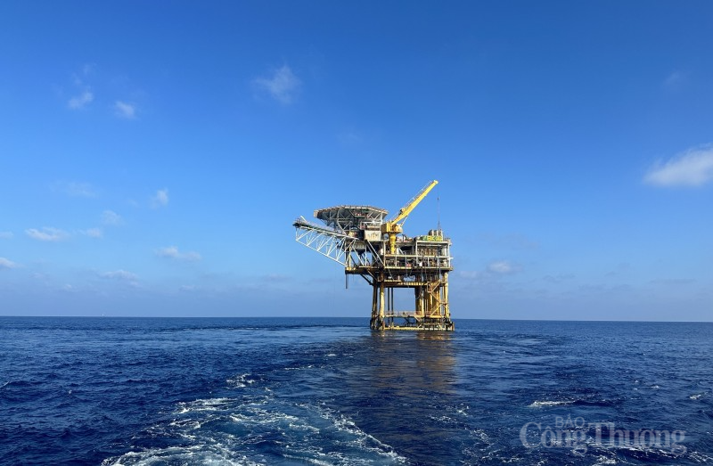 Khu vực triển khai thử nghiệm công nghiệp hoá phẩm nâng cao hệ số thu hồi dầu tại mỏ Bạch Hổ