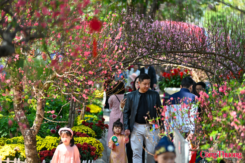 Người dân dừng lại trước hàng trăm gốc đào đủ loại đang vào độ khoe sắc quanh hồ Hoàn Kiếm.
