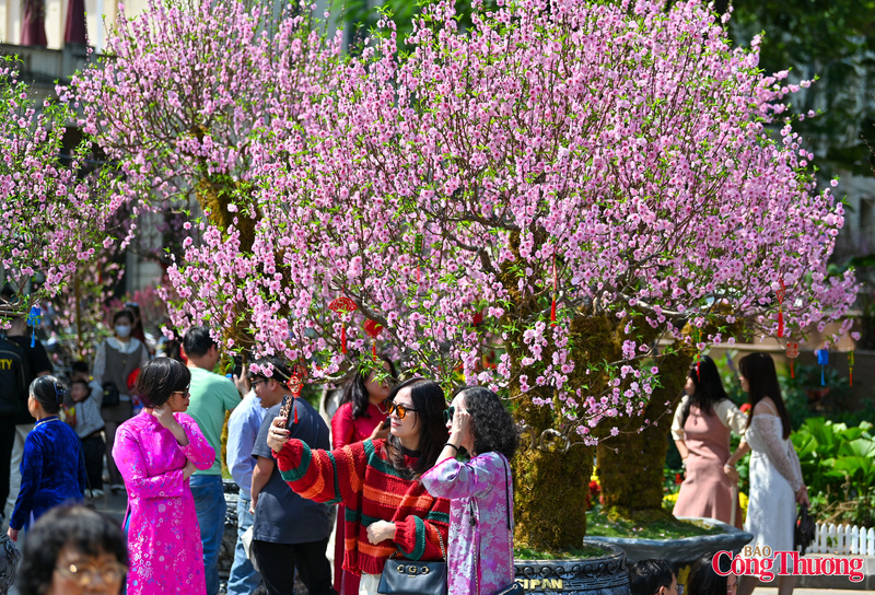 Không khí du xuân vì thế thêm rộn ràng, sắc hồng phủ kín sân trước tượng đài Lý Thái Tổ.