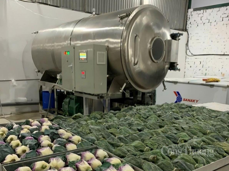 Hệ thống máy sấy thăng hoa công suất lớn của HTX Hoàng Trà có thể sấy ra khoảng 100kg trà/ngày.