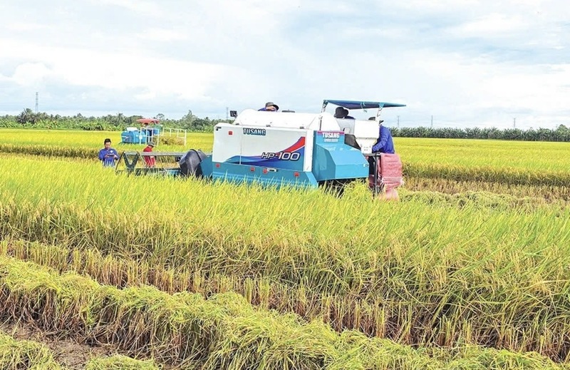 Từ sản xuất nhỏ lẻ, nông dân đang từng bước chuyển sang làm ăn bài bản