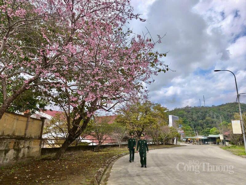 Sắc Xuân nơi Cửa khẩu quốc tế Tây Trang.