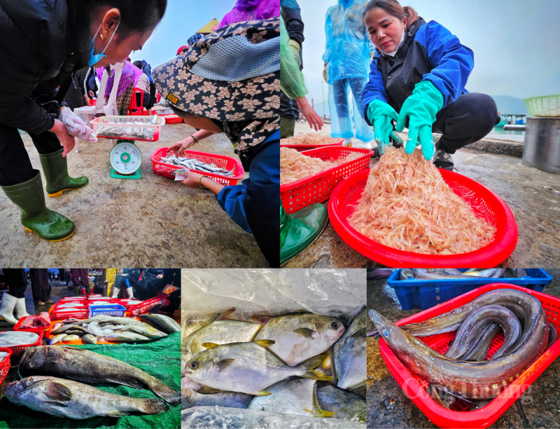 Những ngày đầu năm, không khí tại cảng sôi động hơn bao giờ hết. Những khay cá tươi, tôm mực còn nhảy tanh tách được các ngư dân nhanh chóng chuyển từ khoang tàu lên bến.