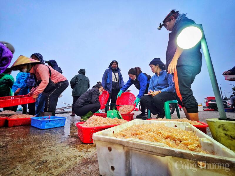 Trên bến, cảnh tượng mua bán diễn ra tấp nập. Không khí lao động khẩn trương, hối hả nhưng khuôn mặt ngư dân ai nấy cũng rạng rỡ nụ cười.
