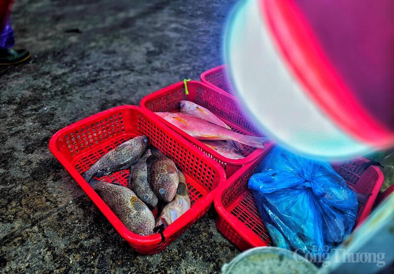 "Nhu cầu tiêu thụ hải sản tươi sau Tết rất lớn, trong khi nguồn hàng tuy nhiều nhưng vẫn không đủ cung cấp cho các chợ và nhà hàng. Giá tăng cao nhưng người mua vẫn sẵn sàng chi trả để có được hải sản tươi ngon nhất", bà Lê Thị Huệ, thương lái lâu năm tại xã Lộc Hà bày tỏ.