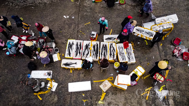 Xuân đã về trên từng con sóng và với bà con ngư dân Cửa Sót, mỗi ngày vươn khơi chính là một ngày đón nhận "lộc biển", góp phần xây dựng quê hương giàu đẹp từ chính những tài nguyên của đại dương.