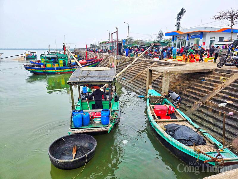Theo ghi nhận của phóng viên Báo Công Thương, thời tiết năm nay được đánh giá là rất ủng hộ lòng người, sóng êm gió lặng, giúp bà con yên tâm vươn khơi bám biển.